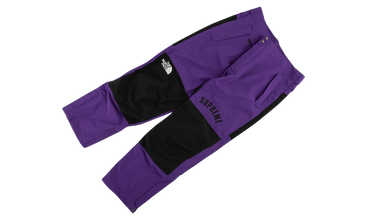 TNF Arc Logo Mountain Pant 