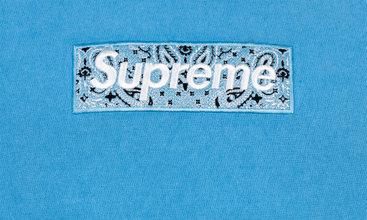 Bandana Box Logo Hoodie 
