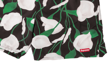 Nylon Water Short 