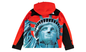 TNF Mountain Jacket 