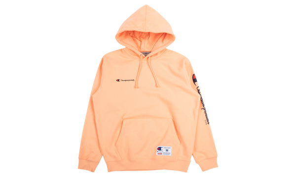Champion Hooded Sweatshirt "FW 16"
