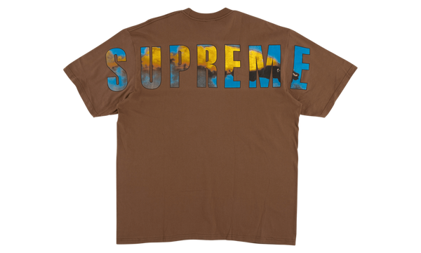 Crash Tee "FW 17"