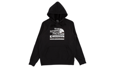 TNF Metallic Logo Hooded Sweatshirt 