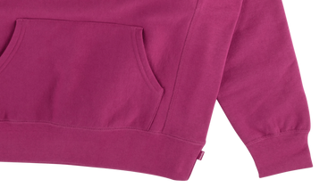 Glitter Arc Hooded Sweatshirt 