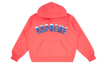 Icy Arc Hoodie 