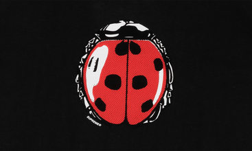 Ladybug Tee 