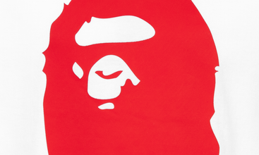 Bicolor by Bathing Ape