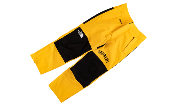 TNF Arc Logo Mountain Pant "SS 19"