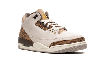 Air Jordan 3 