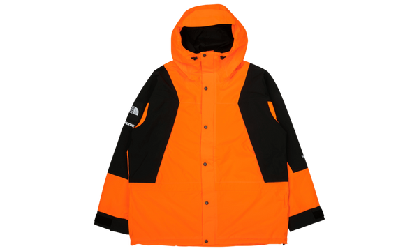 TNF Mountain Light Jacket