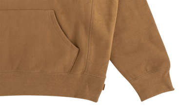 Apple Hoodie 