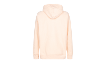 Box Logo Hooded Sweatshirt 