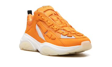 BONE RUNNER 