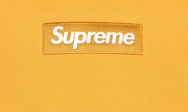 Box Logo Hoodie 