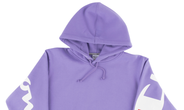 Champion Hooded Sweatshirt 