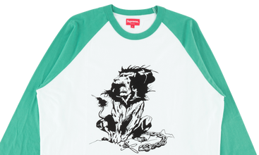 Lion Raglan Baseball Top