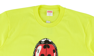 Ladybug Tee 
