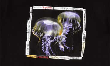 Jellyfish Tee 