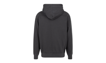 TNF Pigment Printed Hoodie 
