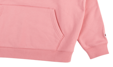 Champion Satin Logo Hooded Sweatshirt