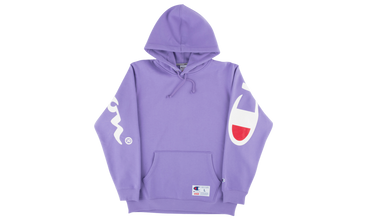 Champion Hooded Sweatshirt 