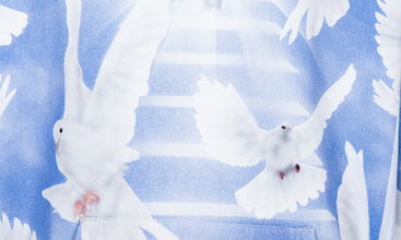 Doves Hoodie 
