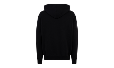 TNF Lenticular Mountain Hoodie 
