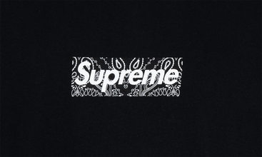 Bandana Box Logo Tee 