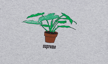 Plant Tee