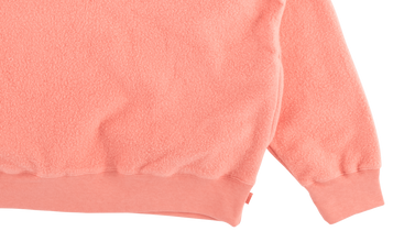 Reverse Fleece Hooded Sweatshirt