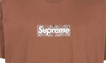 Bandana Box Logo Tee 