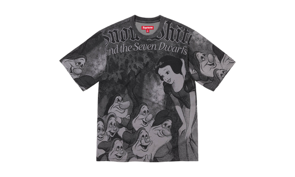 Snow White S/S Top "FW 24 Grey"