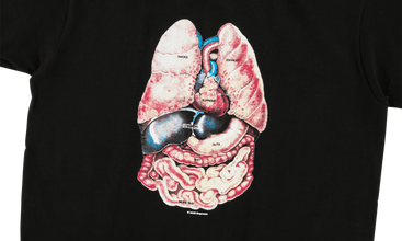 Guts Tee 