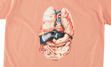 Guts Tee 