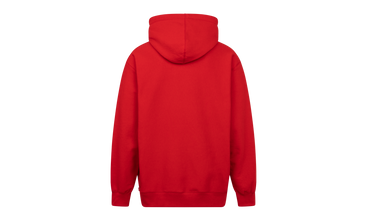FTP Arc Logo Hoodie 