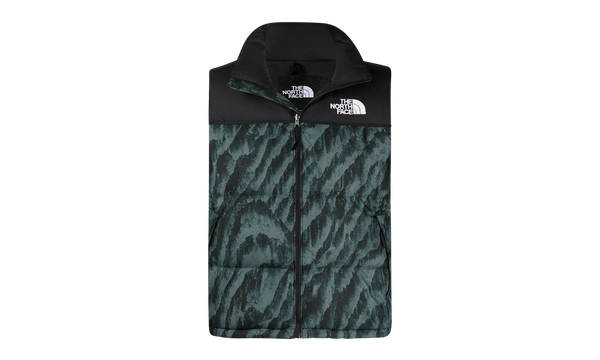 Printed 1996 Retro Nuptse Vest