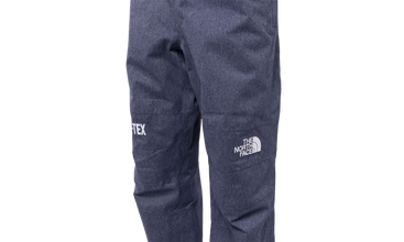 Mens GTX Mountain Pants 