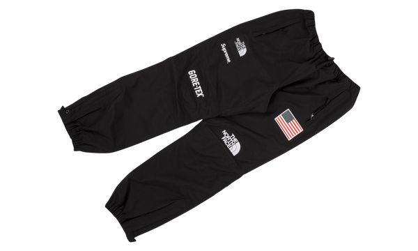 TNF Expedition Pant "Trans Antarctic"