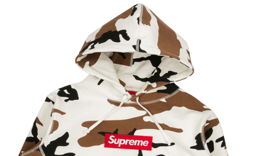 Box Logo Hooded Sweatshirt 