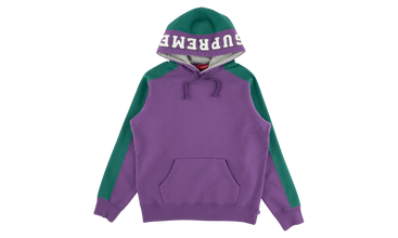 Paneled Hooded Sweatshirt 
