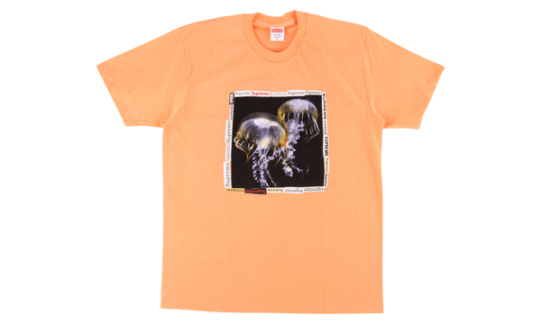 Jellyfish Tee "SS 18"