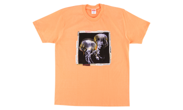Jellyfish Tee 