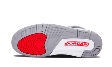 Air Jordan 3 