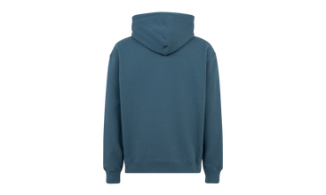 Shine Hoodie 