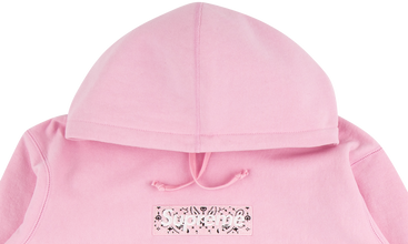 Bandana Box Logo Hoodie 